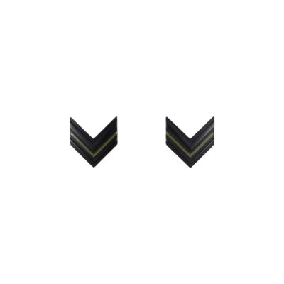Gradi in metallo Caporale VFP1 Esercito