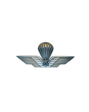 DISTINTIVO MILITARE PARACADUTISTI