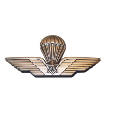 Spilla da giacca  brevetto Paracadutista  militare