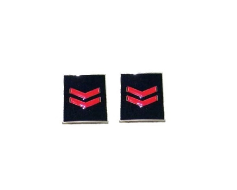 Qualifica assistente polizia penitenziaria metallo