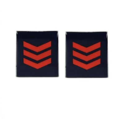 Qualifica assistente capo polizia penitenziaria metallo