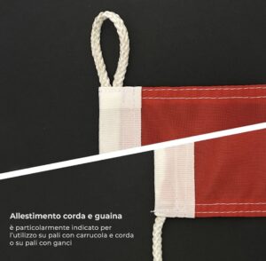 Bandiera Comunità Europea - immagine 2