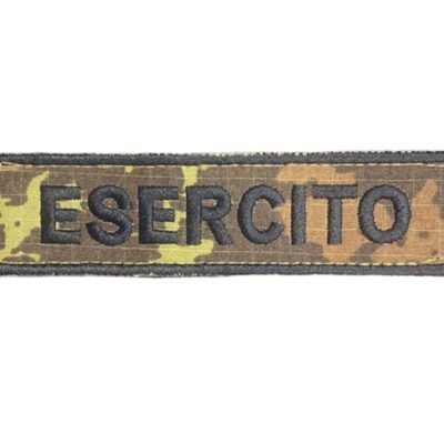 Patch Esercito