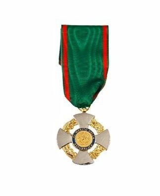 Medaglia Cavaliere al merito della Repubblica Italiana