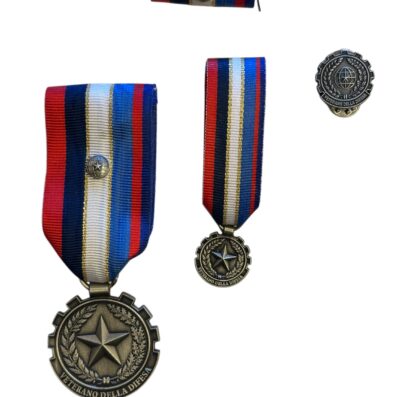 Set Completo Veterano della Difesa con Pins